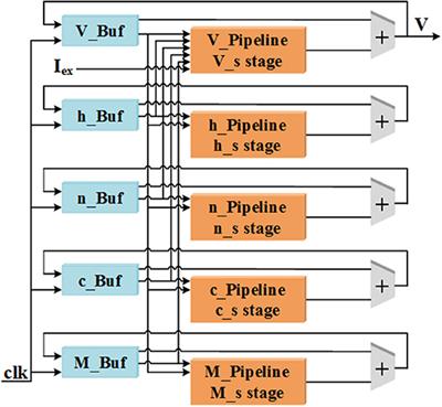Efficient Implementation of Cerebellar Purkinje Cell With the CORDIC Algorithm on LaCSNN